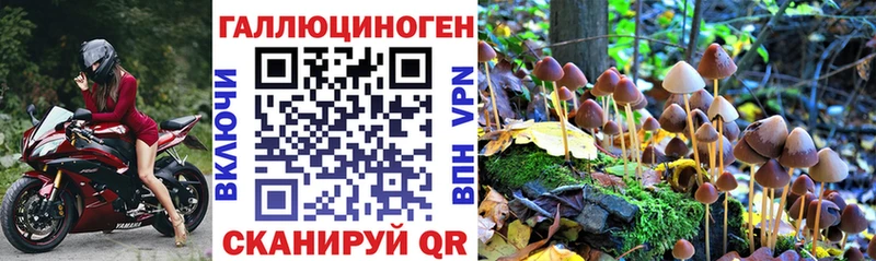 Галлюциногенные грибы Cubensis  Ярославль 