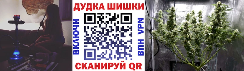 купить закладку  Ярославль  МАРИХУАНА сатива 